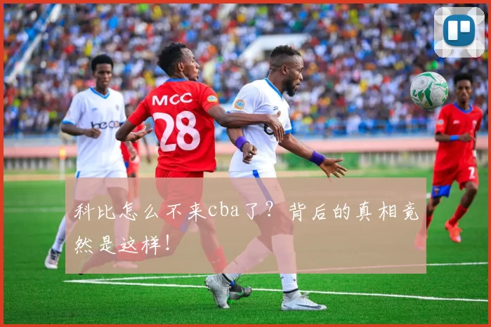 科比怎么不来cba了？背后的真相竟然是这样！