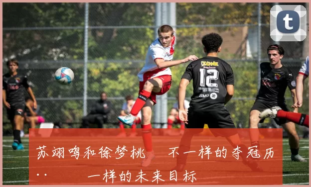 苏翊鸣和徐梦桃  不一样的夺冠历程  一样的未来目标