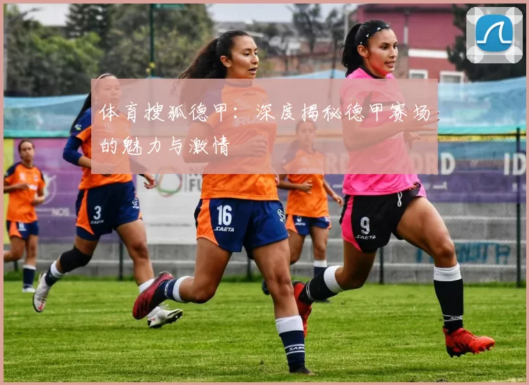 体育搜狐德甲:深度揭秘德甲赛场的魅力与激情