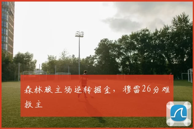 森林狼主场逆转掘金,穆雷26分难救主