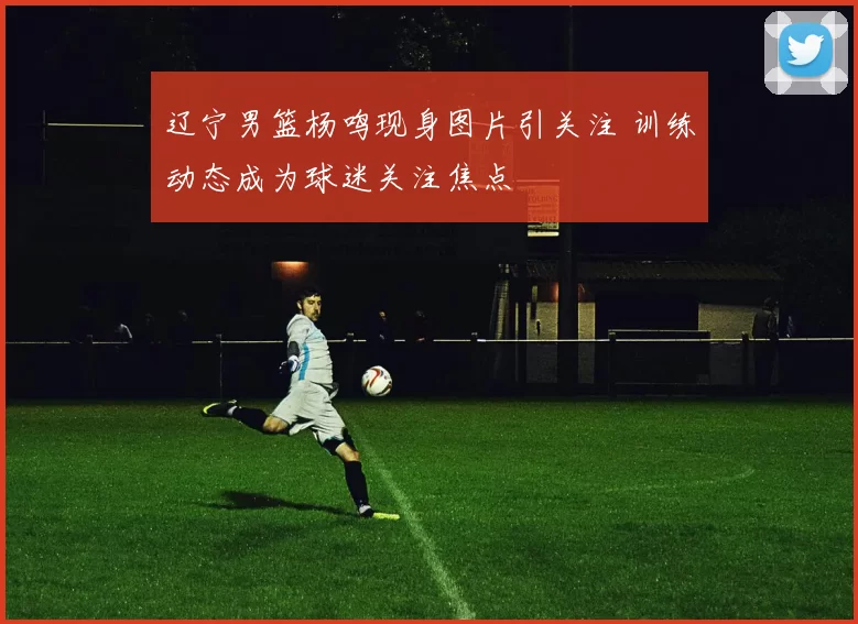 辽宁男篮杨鸣现身图片引关注 训练动态成为球迷关注焦点