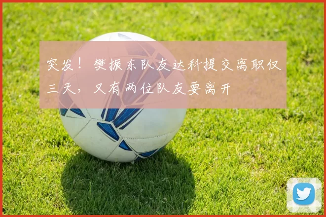 突发！樊振东队友达科提交离职仅三天，又有两位队友要离开