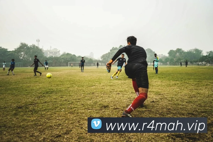 kaiyun开云体验app官网入口 - kaiyun开云(中国)平台生态图