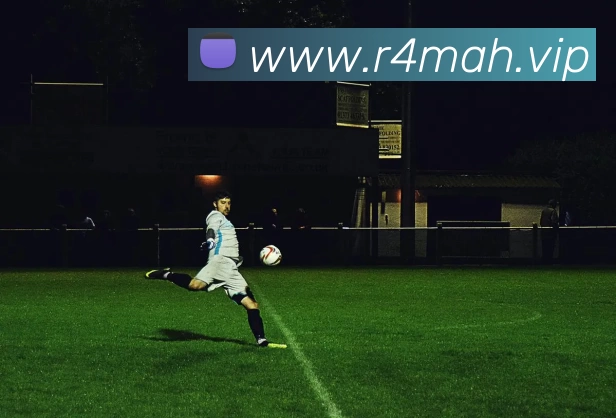 App Interface Preview